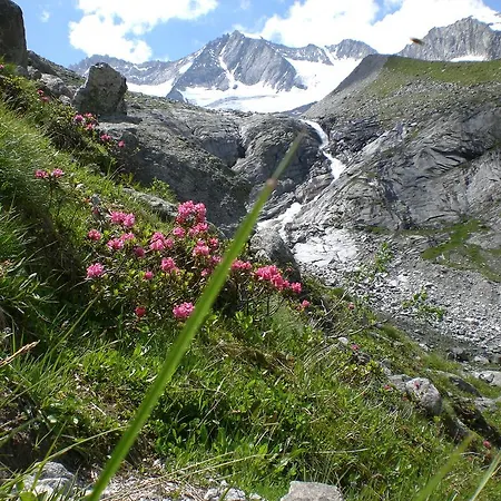 Garni Erler Hotel Mayrhofen