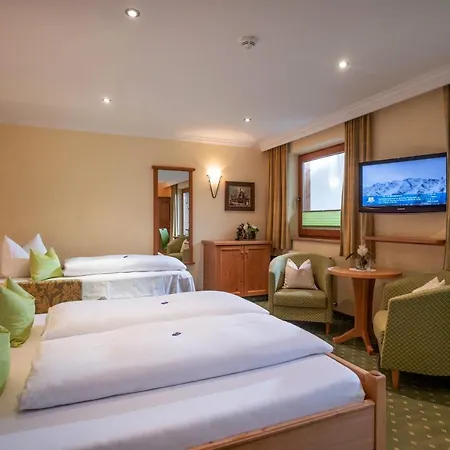 Garni Erler Otel Mayrhofen